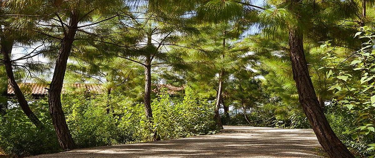 Foto de terreno habitacional en supermanzana carretera kilometro 5.5 , tapalpa, tapalpa, jalisco, 0 foto 01 Foto de terreno habitacional en venta en supermanzana carretera kilometro 5.5 , tapalpa, tapalpa, jalisco, 0 No. 01