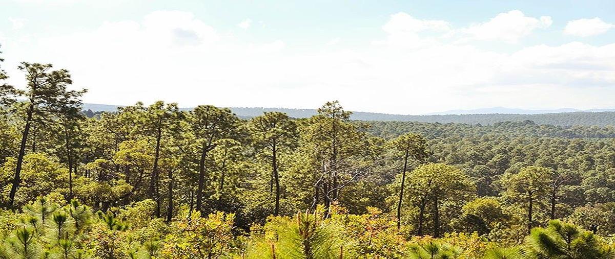 Foto de terreno habitacional en supermanzana carretera kilometro 5.5 , tapalpa, tapalpa, jalisco, 0 foto 02 Foto de terreno habitacional en venta en supermanzana carretera kilometro 5.5 , tapalpa, tapalpa, jalisco, 0 No. 02