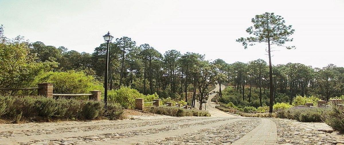 Foto de terreno habitacional en venta en supermanzana carretera kilometro 5.5 , tapalpa, tapalpa, jalisco, 30785859 No. 05