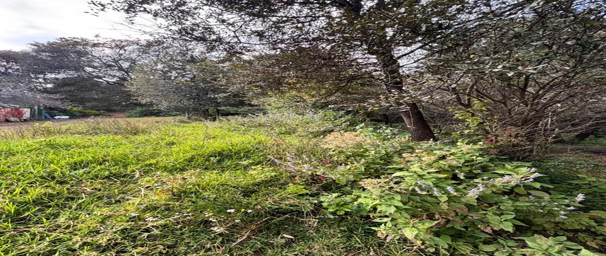 Foto de terreno habitacional en venta en supermanzana , santa ana jilotzingo, jilotzingo, méxico, 0 No. 03