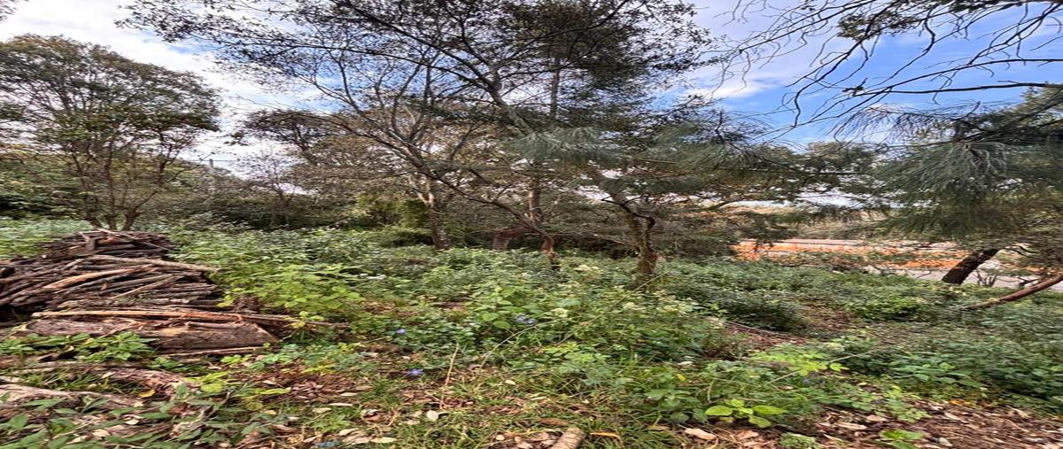 Foto de terreno habitacional en venta en supermanzana , santa ana jilotzingo, jilotzingo, méxico, 0 No. 04