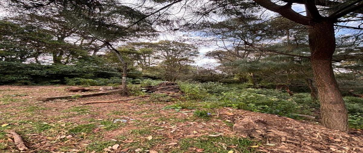 Foto de terreno habitacional en venta en supermanzana , santa ana jilotzingo, jilotzingo, méxico, 0 No. 05