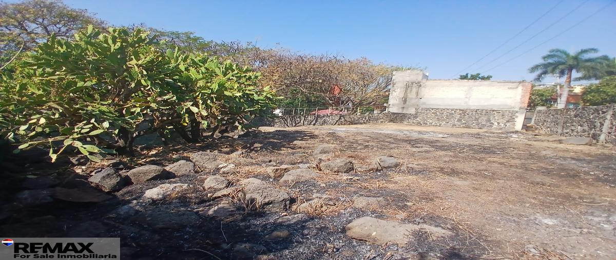 Foto de terreno habitacional en venta en sur , miguel hidalgo, temixco, morelos, 29514082 No. 03