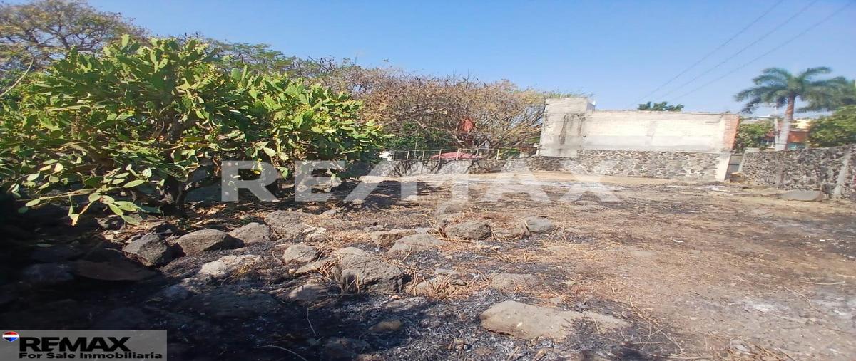Foto de terreno habitacional en sur , miguel hidalgo, temixco, morelos, 0 foto 03 Foto de terreno habitacional en venta en sur , miguel hidalgo, temixco, morelos, 0 No. 03