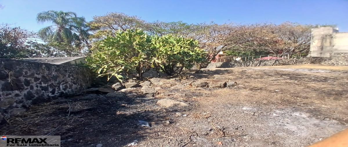 Foto de terreno habitacional en venta en sur , miguel hidalgo, temixco, morelos, 29514082 No. 04