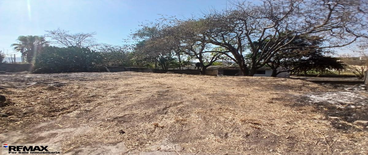 Foto de terreno habitacional en venta en sur , miguel hidalgo, temixco, morelos, 29514082 No. 05