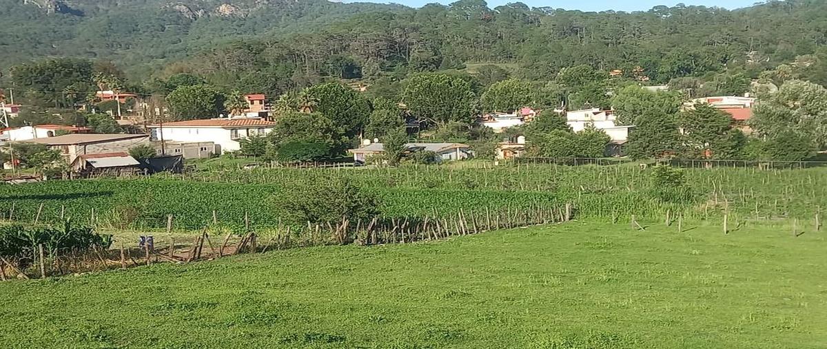 Foto de terreno habitacional en surutato , el ranchito, badiraguato, sinaloa, 0 foto 01 Foto de terreno habitacional en venta en surutato , el ranchito, badiraguato, sinaloa, 0 No. 01