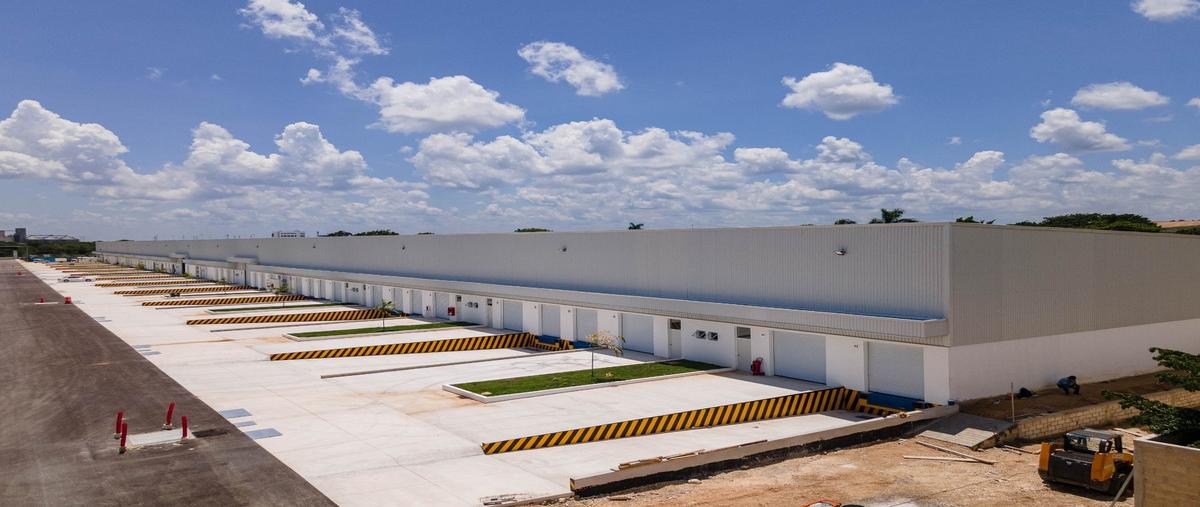 Foto de bodega en renta en  , susulá, mérida, yucatán, 30365776 No. 05