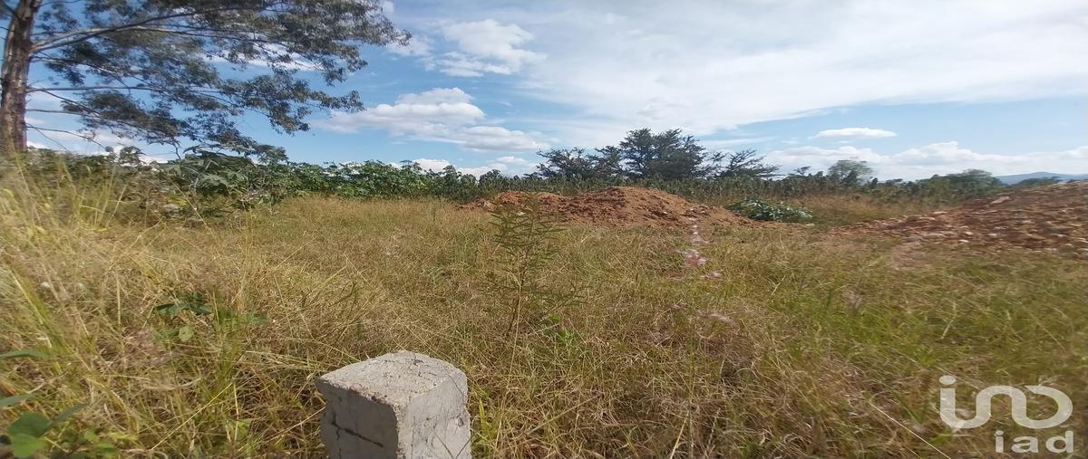 Foto de terreno comercial en venta en t. calle (oaxaca - puerto ángel) - puerto escondido , zimatlan de alvarez centro, zimatlán de álvarez, oaxaca, 30347758 No. 03