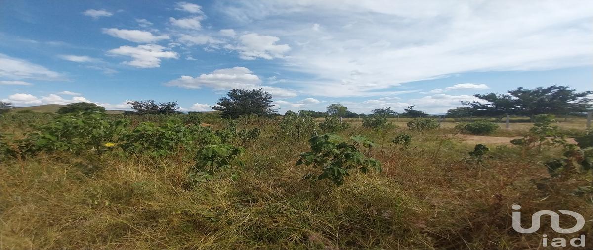 Foto de terreno comercial en venta en t. calle (oaxaca - puerto ángel) - puerto escondido , zimatlan de alvarez centro, zimatlán de álvarez, oaxaca, 30347758 No. 04