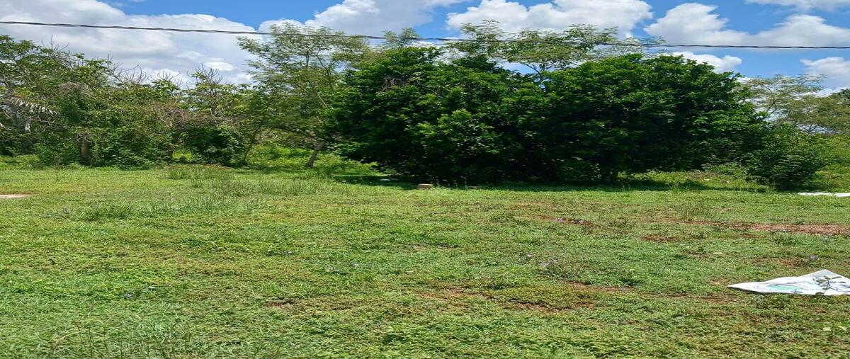 Foto de terreno habitacional en venta en t-548497255274 , tekat, mocochá, yucatán, 0 No. 03