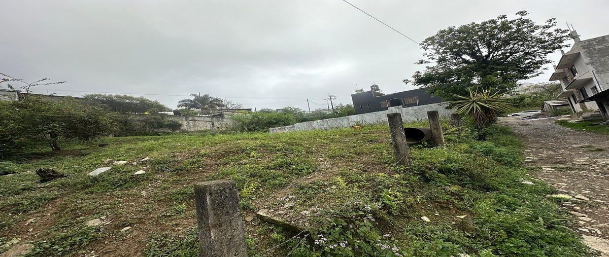 Foto de terreno habitacional en venta en tabacal , el tabacal, xicotepec, puebla, 0 No. 06