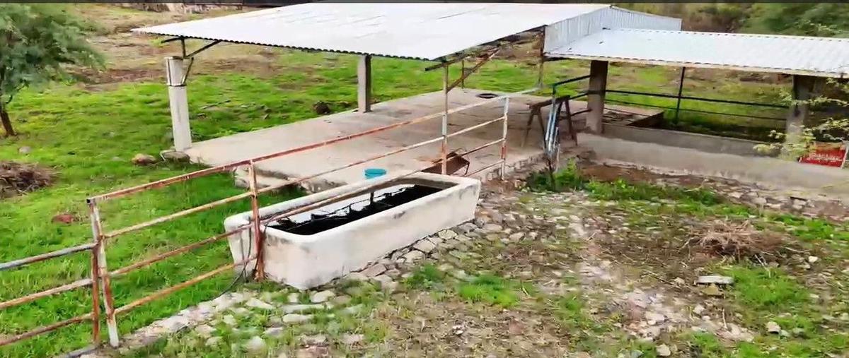 Foto de terreno habitacional en venta en tabachines , atequiza estacion, ixtlahuacán de los membrillos, jalisco, 30454352 No. 05