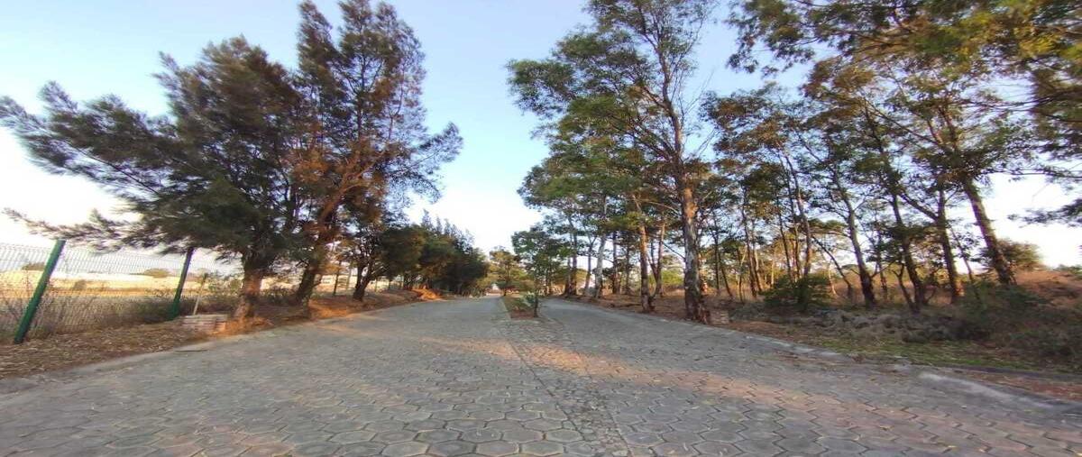 Foto de terreno habitacional en tabacotla , santa isabel cholula, santa isabel cholula, puebla, 29363982 foto 01 Foto de terreno habitacional en venta en tabacotla , santa isabel cholula, santa isabel cholula, puebla, 29363982 No. 01