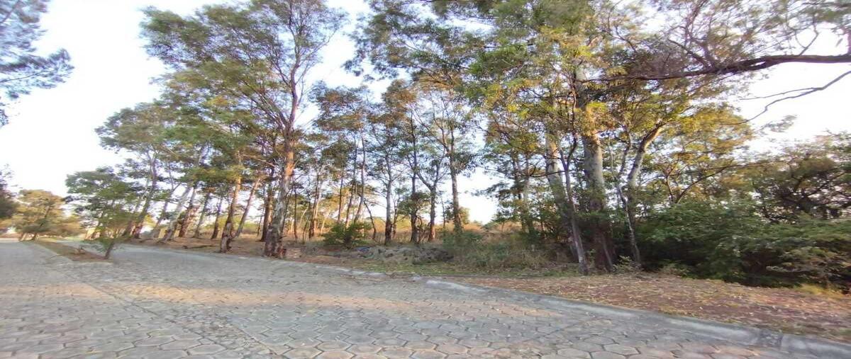 Foto de terreno habitacional en tabacotla , santa isabel cholula, santa isabel cholula, puebla, 29363982 foto 03 Foto de terreno habitacional en venta en tabacotla , santa isabel cholula, santa isabel cholula, puebla, 29363982 No. 03