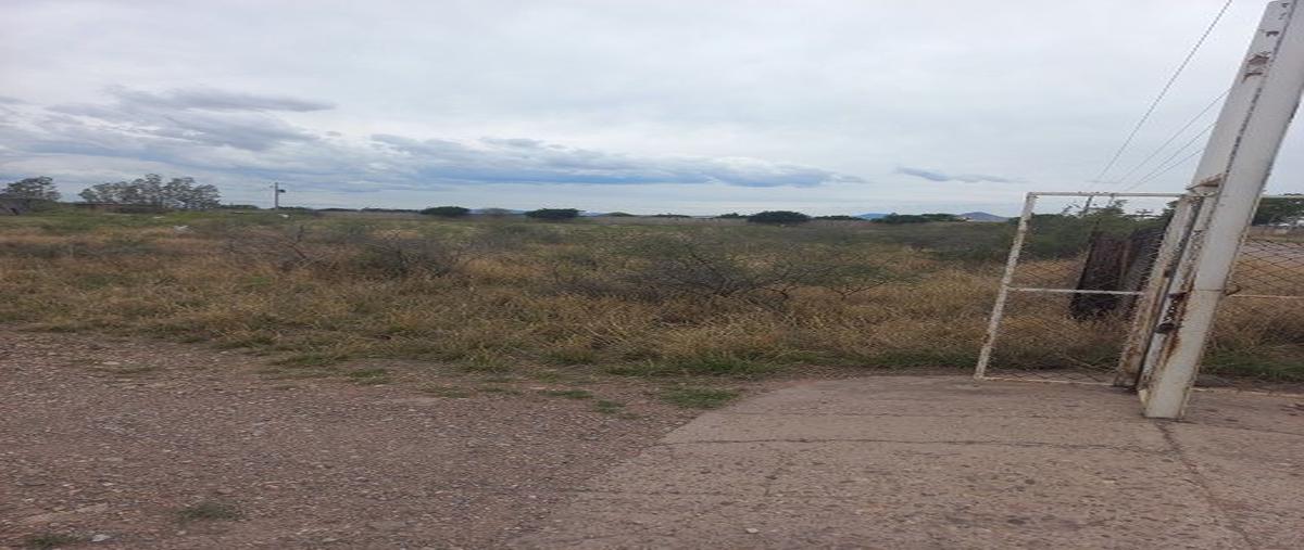 Foto de terreno habitacional en renta en  , tabalaopa, chihuahua, chihuahua, 26485809 No. 04