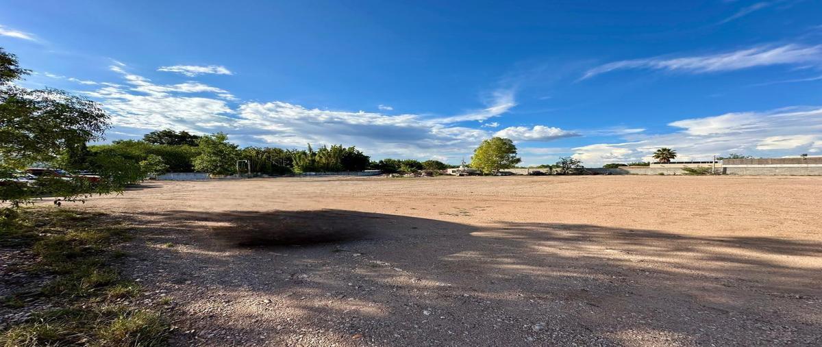 Foto de terreno habitacional en renta en  , tabalaopa, chihuahua, chihuahua, 0 No. 03