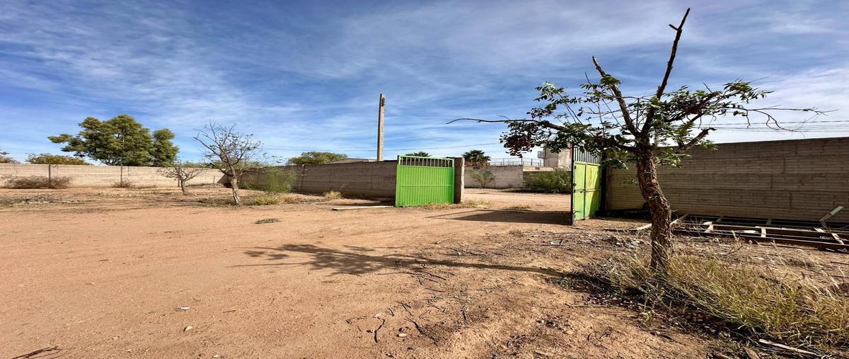 Foto de terreno habitacional en venta en  , tabalaopa, chihuahua, chihuahua, 0 No. 03