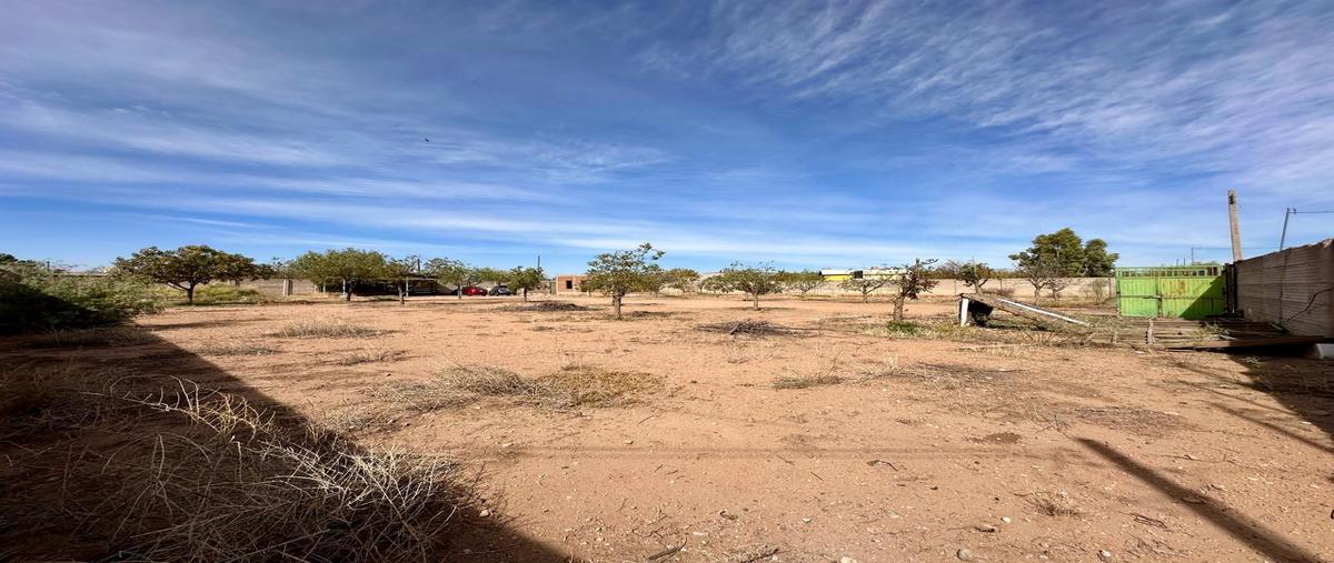 Foto de terreno habitacional en venta en  , tabalaopa, chihuahua, chihuahua, 0 No. 04