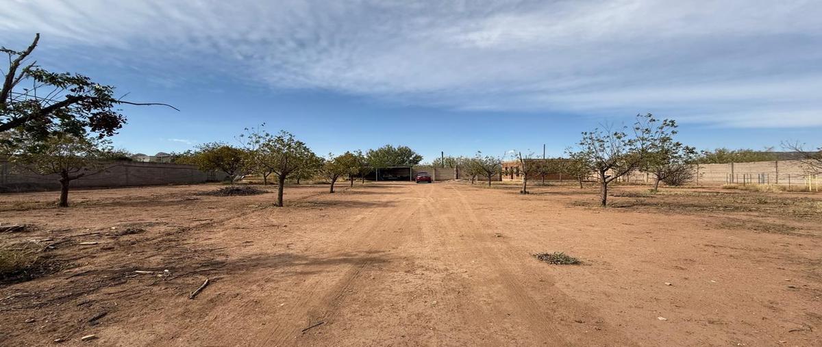 Foto de terreno habitacional en venta en  , tabalaopa, chihuahua, chihuahua, 0 No. 01