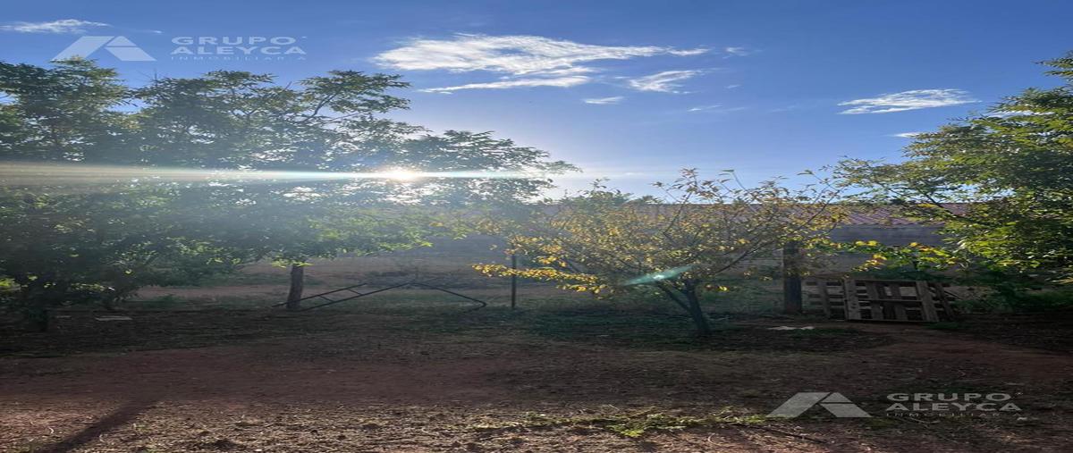 Foto de terreno habitacional en venta en  , tabalaopa, chihuahua, chihuahua, 0 No. 05