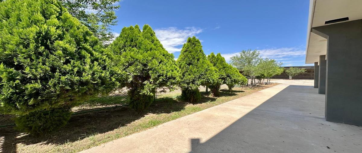 Foto de local en venta en  , tabalaopa, chihuahua, chihuahua, 0 No. 05