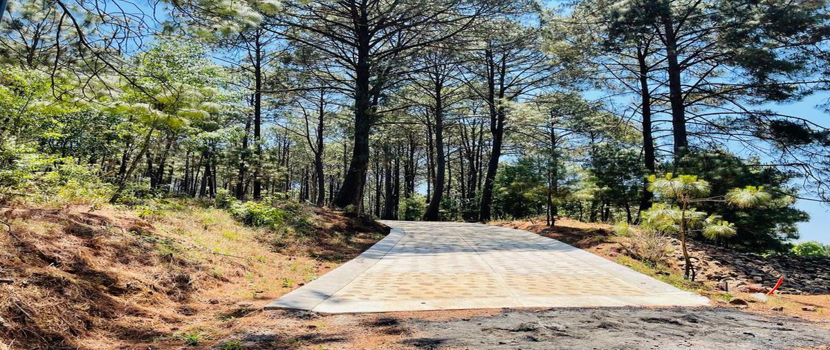 Foto de terreno habitacional en venta en tabardillo , mazamitla, mazamitla, jalisco, 0 No. 04