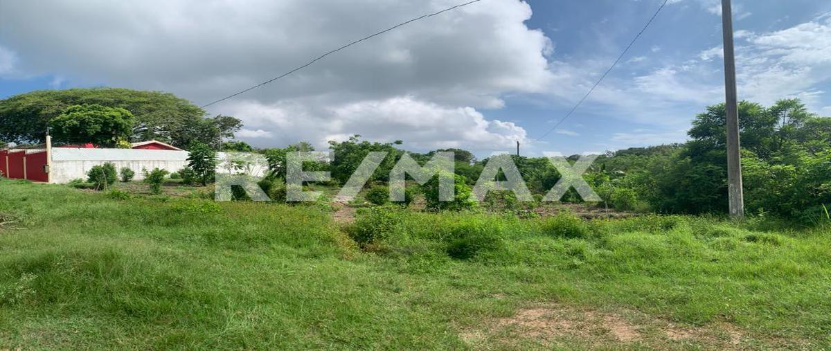Foto de terreno habitacional en venta en tabasco , petrolera lindavista, pueblo viejo, veracruz de ignacio de la llave, 25315178 No. 04