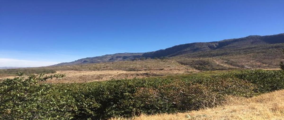 Foto de rancho en venta en tabasco , tabasco centro, tabasco, zacatecas, 0 No. 05