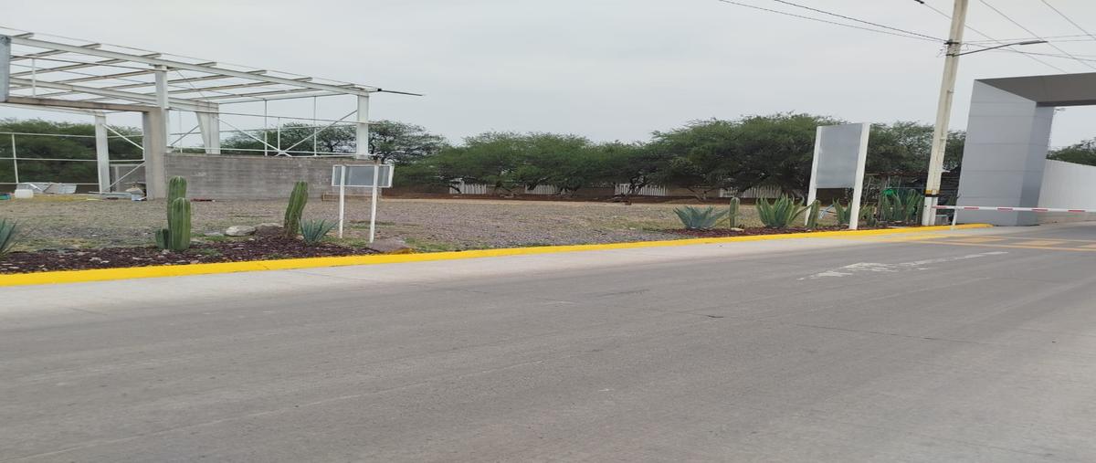 Foto de terreno habitacional en venta en  , tabla de la becerra (san isidro), silao de la victoria, guanajuato, 0 No. 03