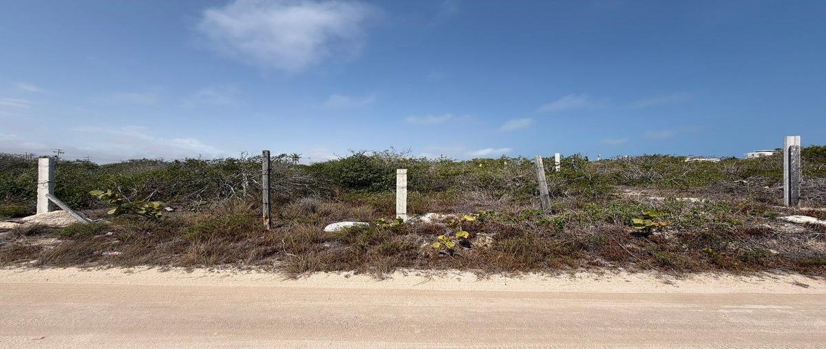 Foto de terreno habitacional en tablaje 01187 , chicxulub puerto, progreso, yucatán, 0 foto 01 Foto de terreno habitacional en venta en tablaje 01187 , chicxulub puerto, progreso, yucatán, 0 No. 01