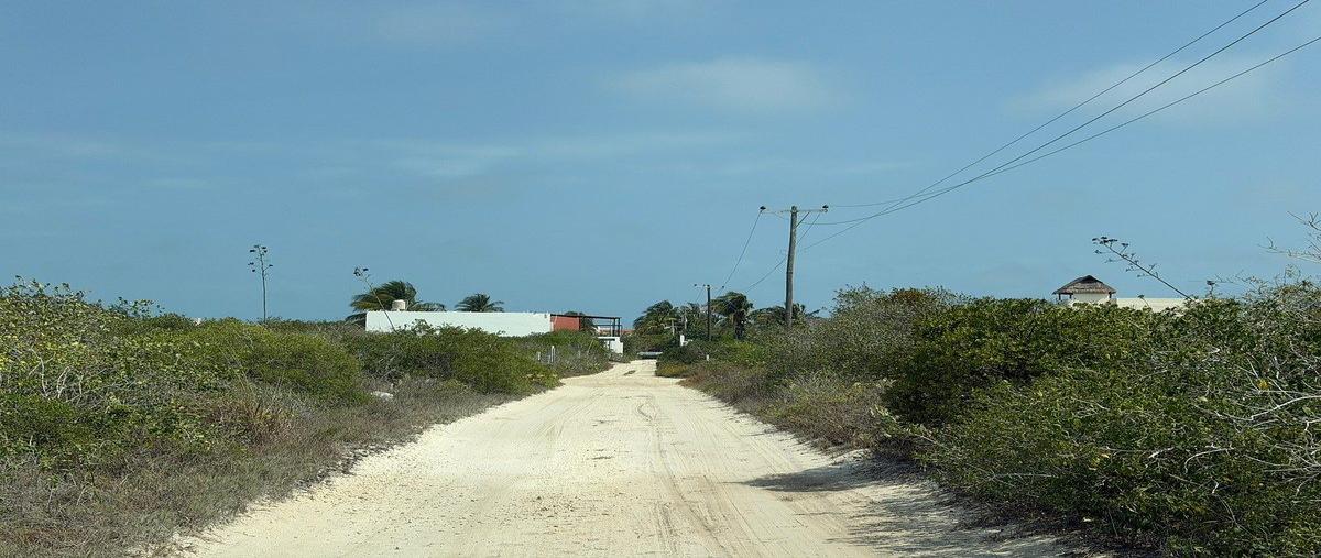 Foto de terreno habitacional en tablaje 01187 , chicxulub puerto, progreso, yucatán, 0 foto 10 Foto de terreno habitacional en venta en tablaje 01187 , chicxulub puerto, progreso, yucatán, 0 No. 10