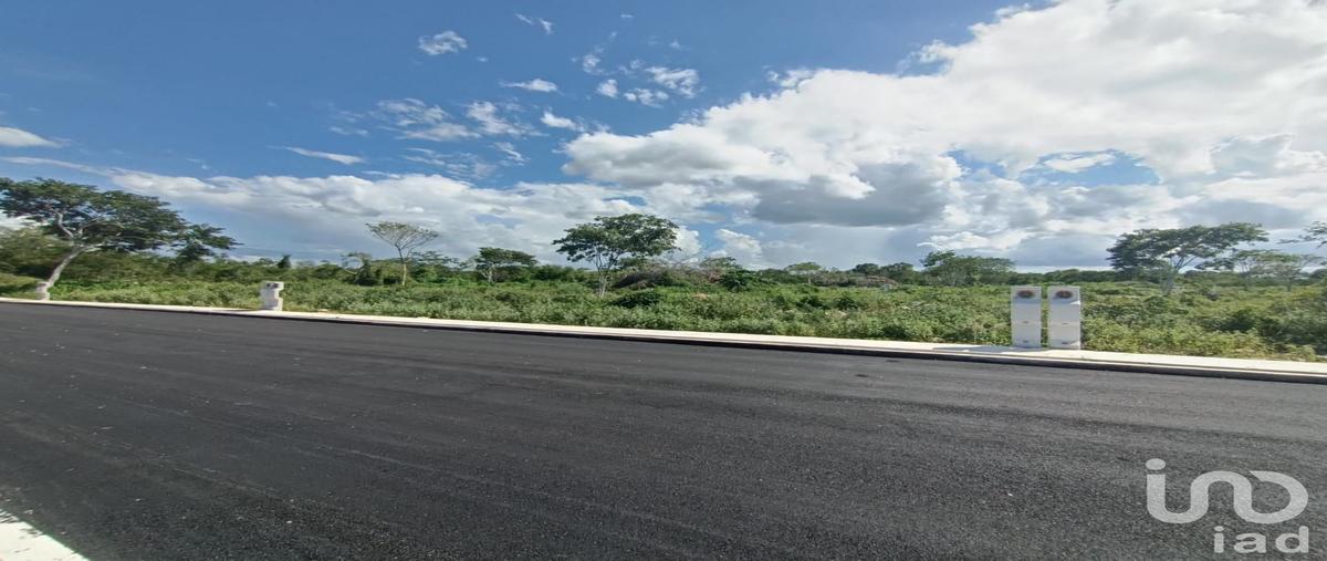 Foto de terreno habitacional en tablaje 10576, conkal, conkal, yucatán, 0 foto 03 Foto de terreno habitacional en venta en tablaje 10576, conkal, conkal, yucatán, 0 No. 03