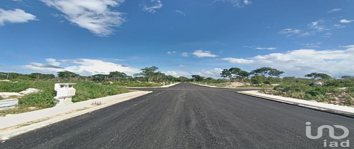 Foto de terreno habitacional en tablaje 10576, conkal, conkal, yucatán, 0 foto 05 Foto de terreno habitacional en venta en tablaje 10576, conkal, conkal, yucatán, 0 No. 05