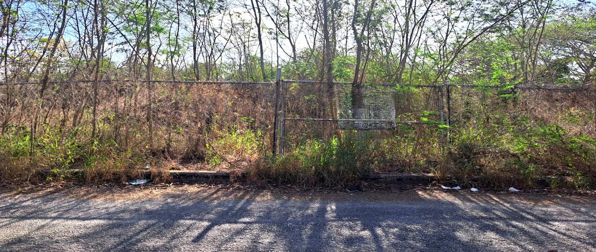 Foto de terreno habitacional en venta en tablaje 19841 , santa gertrudis copo, mérida, yucatán, 29322957 No. 05