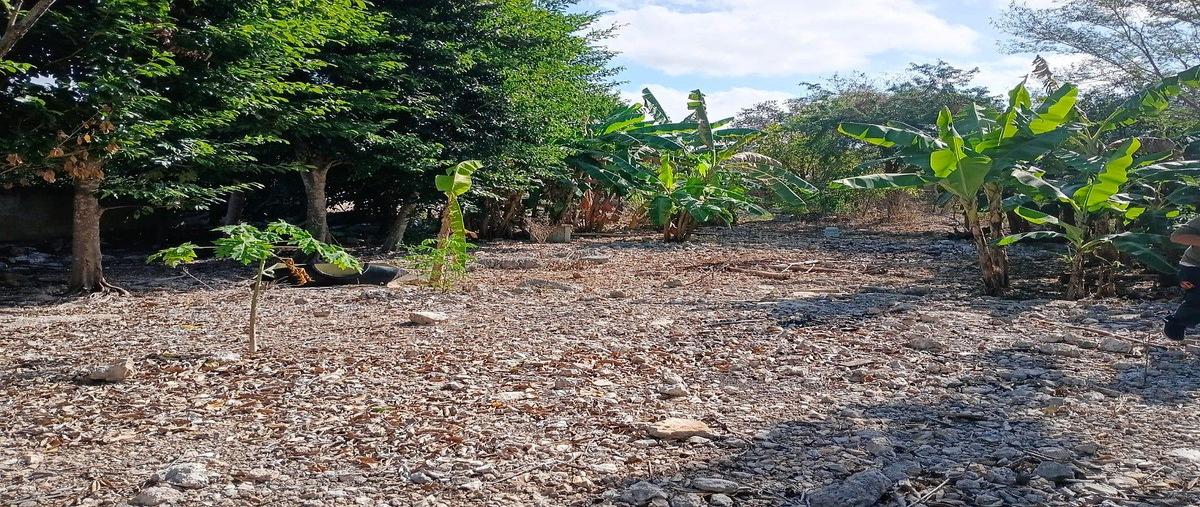 Foto de terreno habitacional en tablaje 22660 , san juan bautista, mérida, yucatán, 0 foto 04 Foto de terreno habitacional en venta en tablaje 22660 , san juan bautista, mérida, yucatán, 0 No. 04