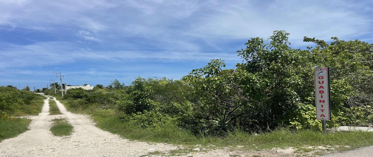 Foto de terreno habitacional en venta en tablaje 5524 y 5525 , san diego, dzemul, yucatán, 29393560 No. 03