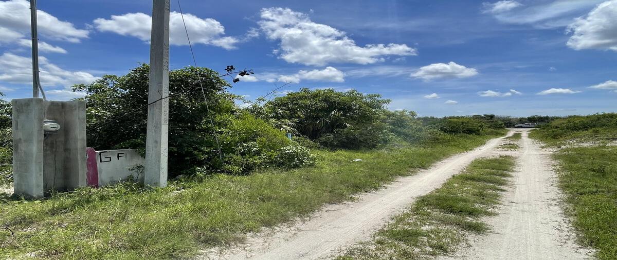 Foto de terreno habitacional en venta en tablaje 5524 y 5525 , san diego, dzemul, yucatán, 29393560 No. 04
