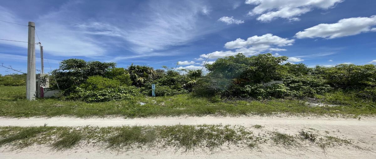 Foto de terreno habitacional en venta en tablaje 5524 y 5525 , san diego, dzemul, yucatán, 29393560 No. 05