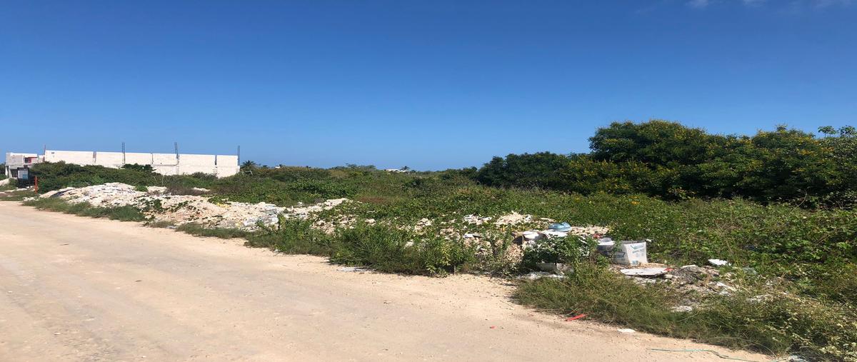 Foto de terreno habitacional en venta en tablaje , chicxulub puerto, progreso, yucatán, 27520234 No. 04