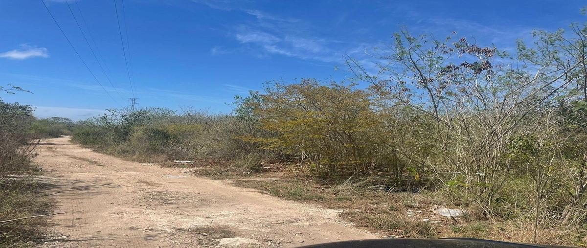 Foto de terreno habitacional en venta en tablaje , paraíso, mérida, yucatán, 30988643 No. 03
