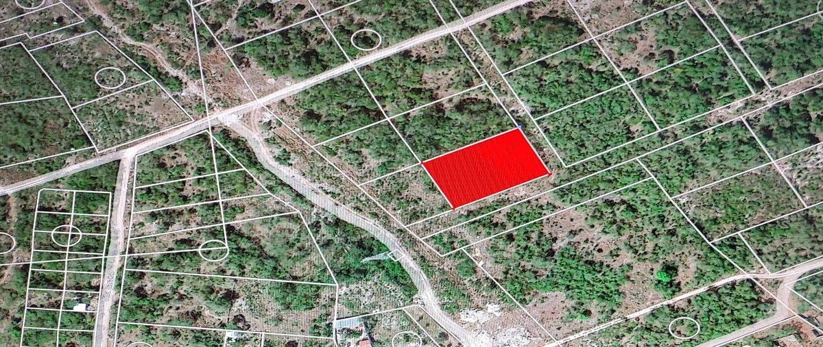 Foto de terreno habitacional en tablaje , paraíso, mérida, yucatán, 0 foto 05 Foto de terreno habitacional en venta en tablaje , paraíso, mérida, yucatán, 0 No. 05