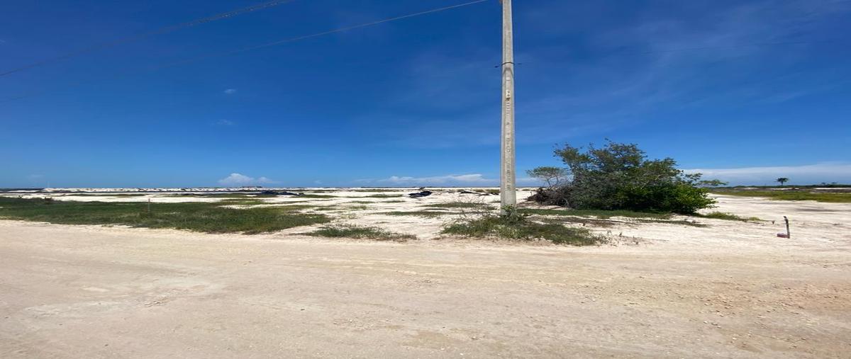 Foto de terreno habitacional en venta en tablaje , sisal, hunucmá, yucatán, 27415144 No. 04