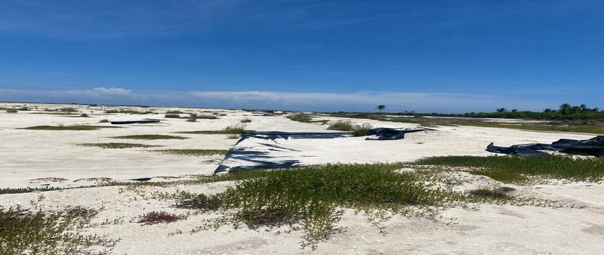 Foto de terreno habitacional en venta en tablaje , sisal, hunucmá, yucatán, 27415144 No. 05