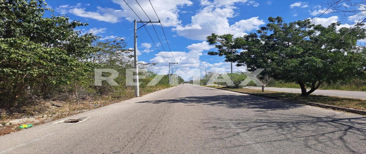 Foto de terreno habitacional en tablaje , temozon norte, mérida, yucatán, 27717720 foto 04 Foto de terreno habitacional en venta en tablaje , temozon norte, mérida, yucatán, 27717720 No. 04