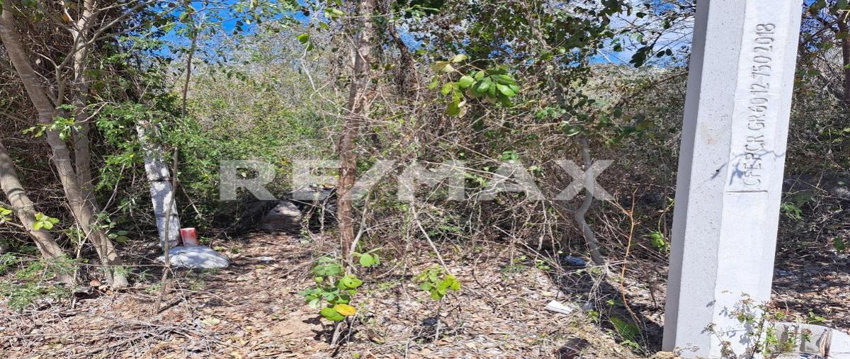 Foto de terreno habitacional en tablaje , temozon norte, mérida, yucatán, 27717720 foto 05 Foto de terreno habitacional en venta en tablaje , temozon norte, mérida, yucatán, 27717720 No. 05