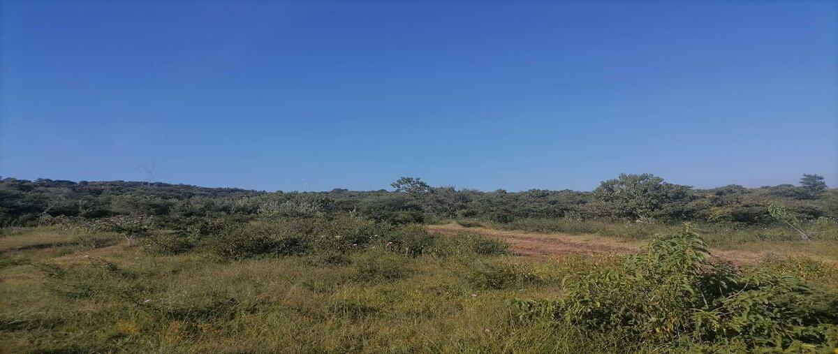 Foto de terreno comercial en , tacícuaro, morelia, michoacán de ocampo, 0 foto 01 Foto de terreno comercial en venta en , tacícuaro, morelia, michoacán de ocampo, 0 No. 01