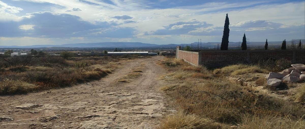 Foto de terreno habitacional en venta en  , tacoaleche, guadalupe, zacatecas, 0 No. 04