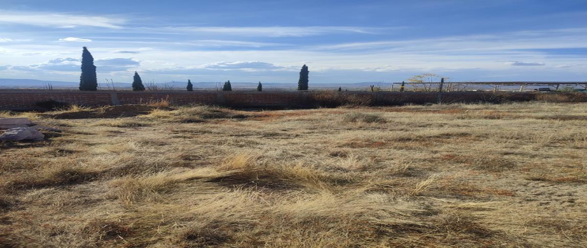 Foto de terreno habitacional en venta en  , tacoaleche, guadalupe, zacatecas, 0 No. 05
