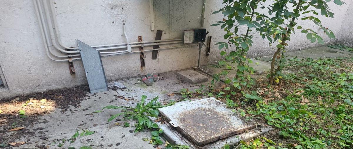 Foto de local en renta en  , tacubaya, miguel hidalgo, df / cdmx, 29875120 No. 03